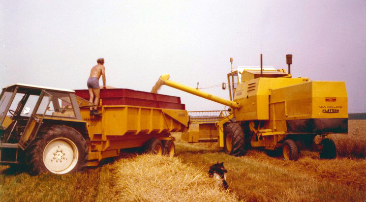 foto